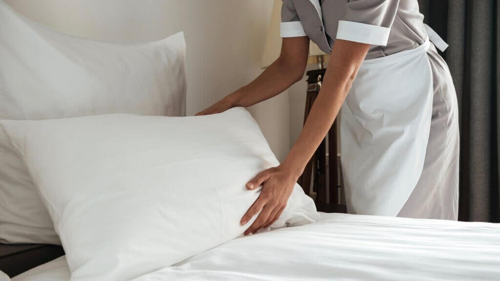 The Ultimate Bed Bug Control Guide For The Hotel Industry