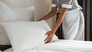Pittsburgh Hotel Bed Bug Prevention Plans And Services