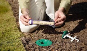 Pittsburgh termitt kontroll forebygging